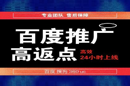 竞价托管与SEO结合的案例分析